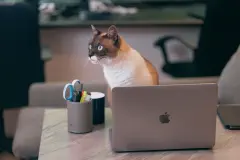 Featured image of post Github にサイトを置くためにやったこと