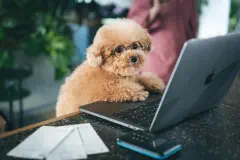 Featured image of post 雑記更新ツイートを Heroku から GitHub Actions に移行した